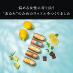 【送料無料】【ワッフル・ケーキの店 R.L（エール・エル）】季節限定 ワッフル ケーキ 20種 Aセット 2