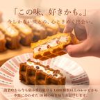 【送料無料】7月限定 ワッフル ケーキ 20種セット 【初夏のワッフル】お中元2026 10