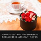 【送料無料】フラワードーム付きワッフル10種セット【レッド】 母の日2026 8