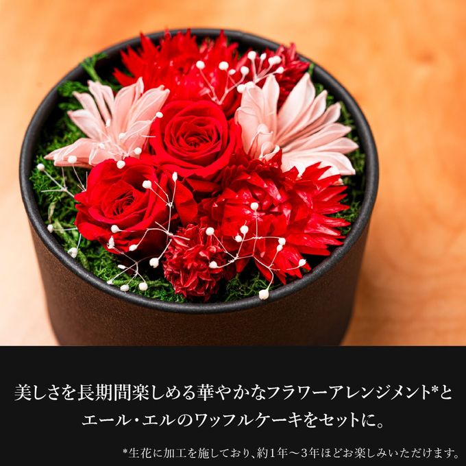 【送料無料】フラワードーム付きワッフル10種セット【レッド】 母の日2026 2