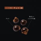 【送料無料】チョココロ 12個入り 4