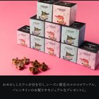 コロコロワッフルキューブ ショコラストロベリー 2