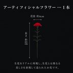 【送料無料】母の日シート＆カーネーション付ワッフルケーキ10種セット 母の日2026 6