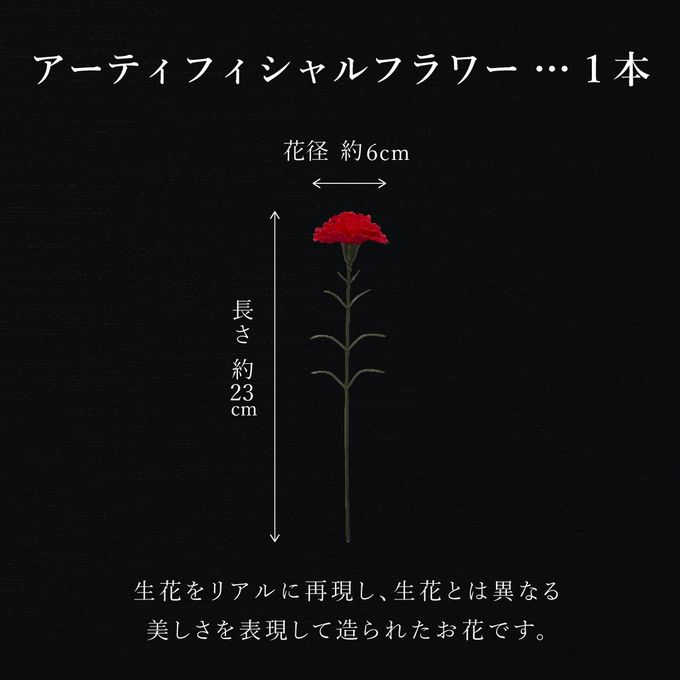 【送料無料】母の日シート＆カーネーション付ワッフルケーキ10種セット 母の日2026 6