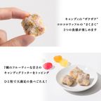 【ワッフル・ケーキの店R.L（エール・エル）】コロコロワッフル キューブ 「サクマ ドロップス」  6