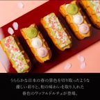 【送料無料】春咲くワッフルドルチェ 5個入 ひな祭り2026 2