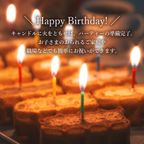 【送料無料】 バースデーキャンドル付き ワッフルケーキ10種セット 【誕生日ケーキに◎】  2