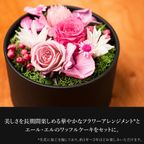 【送料無料】フラワードーム付きワッフル10種セット【ピンク】  2