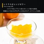 【送料無料】ソルベ&ゼリー6個セット【夏の新作スイーツ】 8