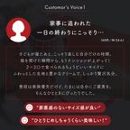 【送料無料】【ワッフル・ケーキの店 R.L（エール・エル）】季節限定 ワッフル ケーキ 20種 Aセット 3