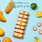 【送料無料】7月限定 ワッフル ケーキ 20種セット 【初夏のワッフル】お中元2026 2