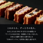 【送料無料】創業祭セット ＜SSサイズ＞  創業34年記念！お得なセット 9