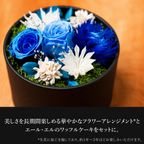 【送料無料】フラワードーム付きワッフル10種セット【ブルー】  2