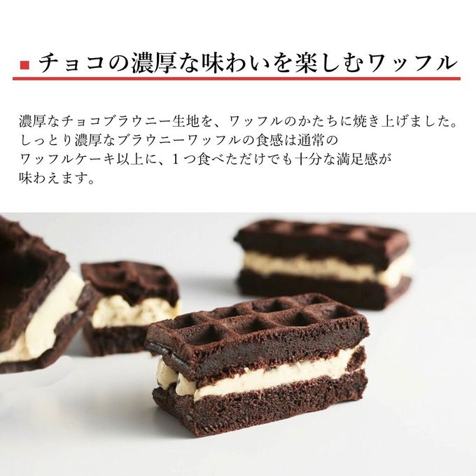 【送料無料】ブラウニー ワッフル 10種 セット 濃厚 チョコレート《ワッフル・ケーキの店R.L（エール・エル）》  2