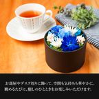 【送料無料】フラワードーム付きワッフル10種セット【ブルー】  8