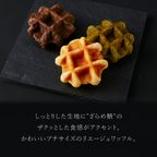 【送料無料】【ワッフル・ケーキの店R.L（エール・エル）】プティ ワッフル 12個 セット  3