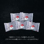 【ワッフル・ケーキの店R.L（エール・エル）】クリスマス コロコロワッフル パック 5袋セット（バニラ） 6