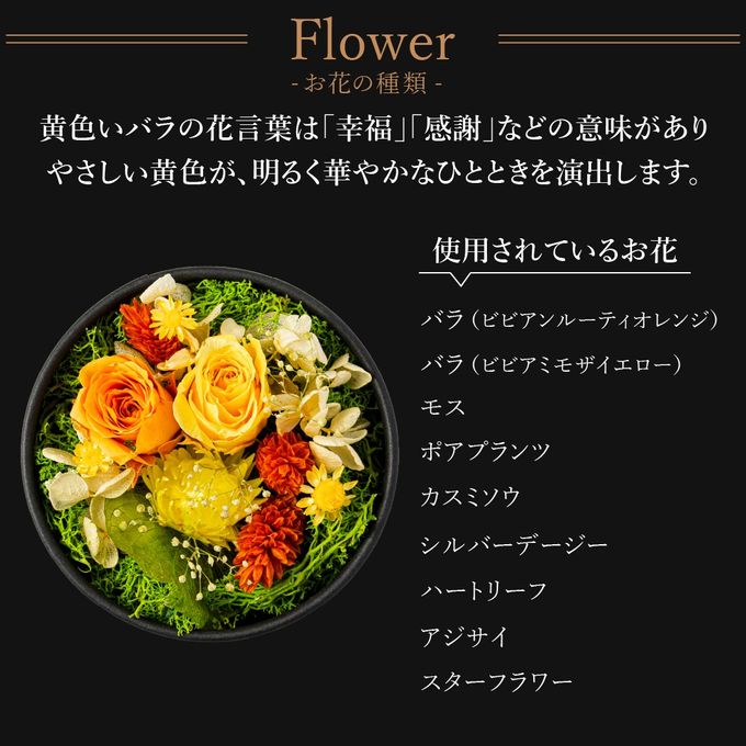 【送料無料】フラワードーム付きワッフル10種セット【イエロー】 母の日2026 3