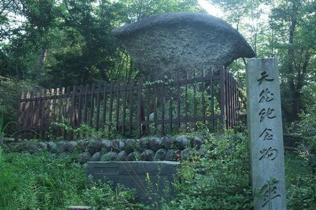 国の天然記念物、恵那峡名物の傘岩が名前の由来となっております。 6