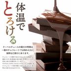 割れチョコ 禁断の割れチョコ「レア割れチョコ200g」【大浜スイーツアカデミー】 8