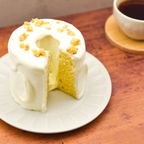 ぷるんふわもち シフォンケーキ 「シュシュモフォン」１台＜チーズ＞誕生日 デコレーションケーキ 3