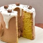 ぷるんふわもち シフォンケーキ 「シュシュモフォン」１台＜チョコ＞誕生日 デコレーションケーキ 1