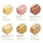 2025リニューアル！もちもち小麦のシフォンケーキ 生クリームモフォン 6種セット  5