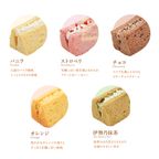 2025リニューアル！もちもち小麦シフォンケーキ「モフォン」アソートセット《10個入》 5