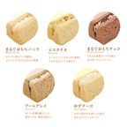 2025リニューアル！もちもち小麦シフォンケーキ「モフォン」アソートセット《10個入》 6