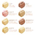 2025リニューアル！もちもち小麦シフォンケーキ「モフォン」アソートセット《8個入》 5