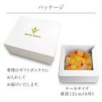 タルトフラダンス 4号 5