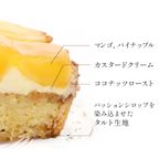 タルトフラダンス 4号 3