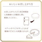 タルトフラダンス 4号 6
