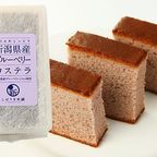 新潟県産カステラ （6切れ） 6個入り 7