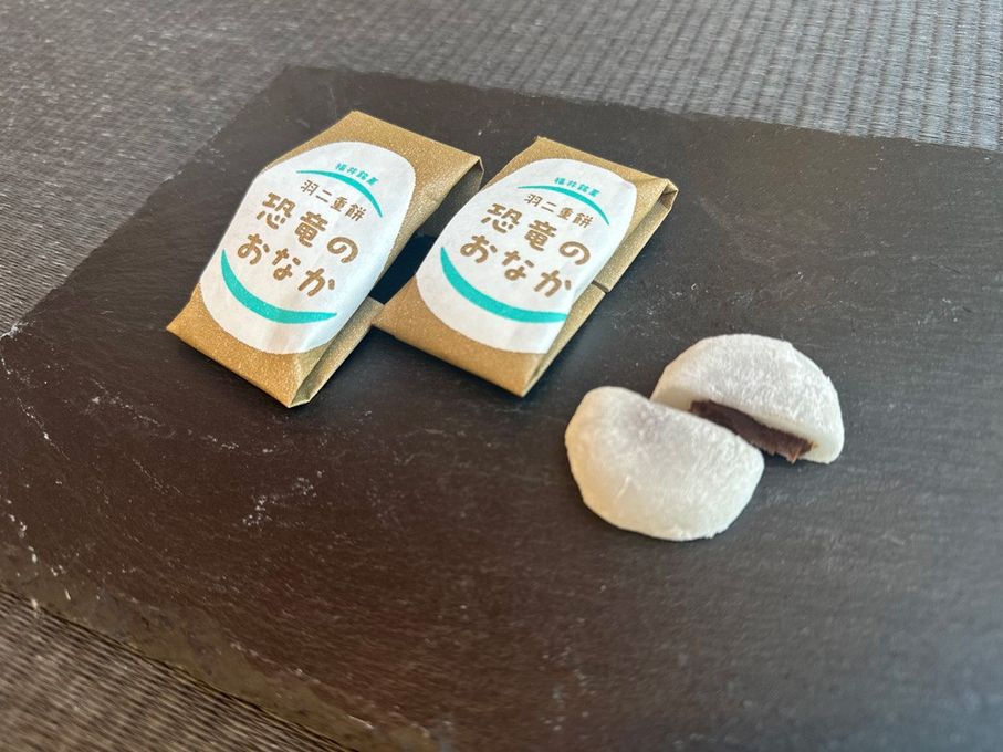 福井銘菓 羽二重餅 恐竜のおなか【ちょこ包み】 1箱8個入（パッケージ茶） 3