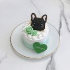 ［3号ケーキ］手書きクッキー付き 小さめセミオーダーケーキ《 選べる9色｜センイルケーキ｜アイシングクッキー｜イラストクッキー 》 6