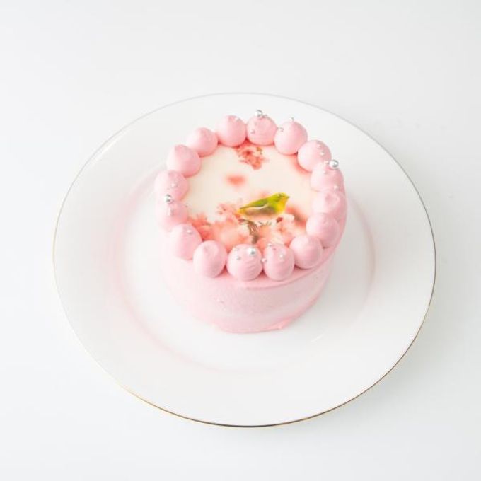 ◯パステルカラー写真ケーキ♪ 6号《選べる8色｜プリントケーキ｜センイルケーキ｜誕生日や記念日などのお祝いに♪》 6