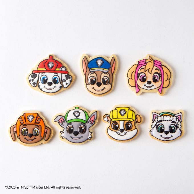 【パウ・パトロール】スカイ アイシングクッキー 5