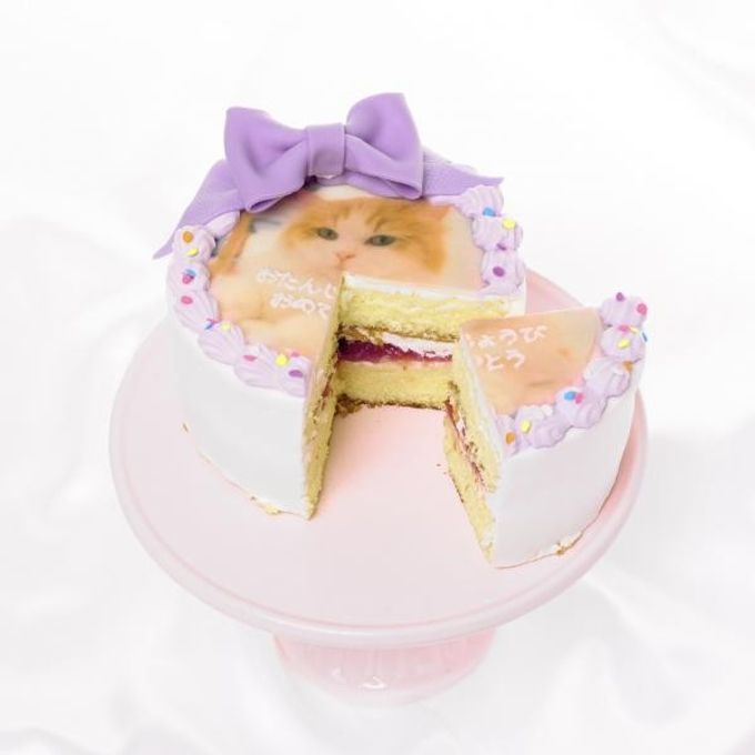 リボン付き写真ケーキ✧ 4号《選べる8色｜プリントケーキ｜センイルケーキ｜お好きなメッセージで♪》 7
