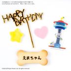 【パウ・パトロール】エベレスト オリジナルケーキ 4