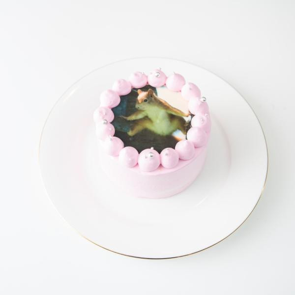 ◯パステルカラー写真ケーキ♪ 3号《選べる8色｜プリントケーキ 