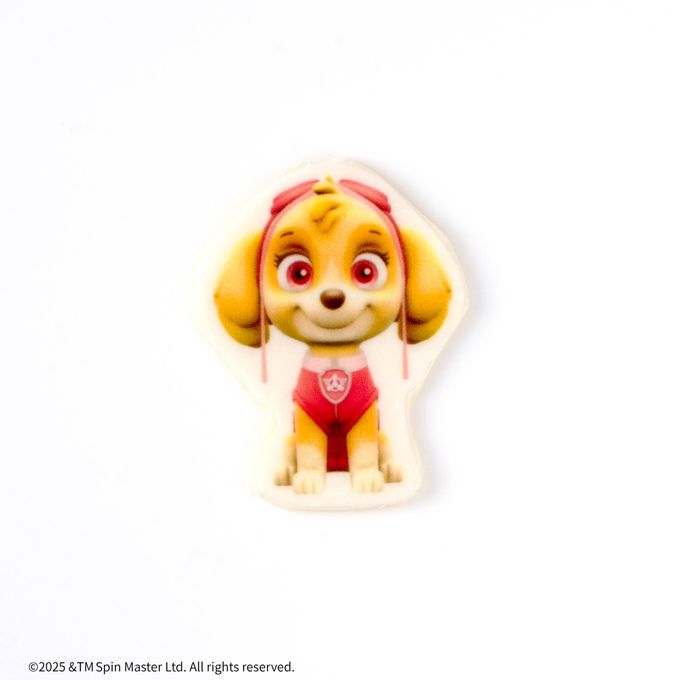 【パウ・パトロール】スカイ オリジナルケーキ 2