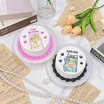 ねこ耳センイル写真ケーキ 5号《選べる9色｜肉球｜センイルケーキ｜韓国｜お好きな写真で✧》 