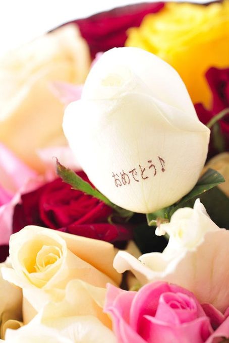 花とギフトのセット メッセージフラワー（ガーベラの花束）とコーヒーカップセット（5月の誕生日・記念日用） 母の日2024 5