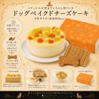 犬用ベイクドチーズケーキ3号 2