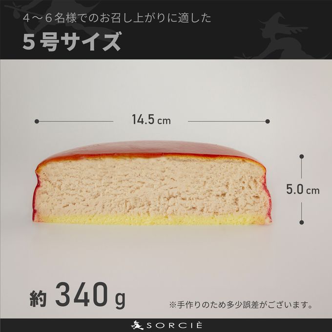 苺スフレチーズケーキサイズ 6