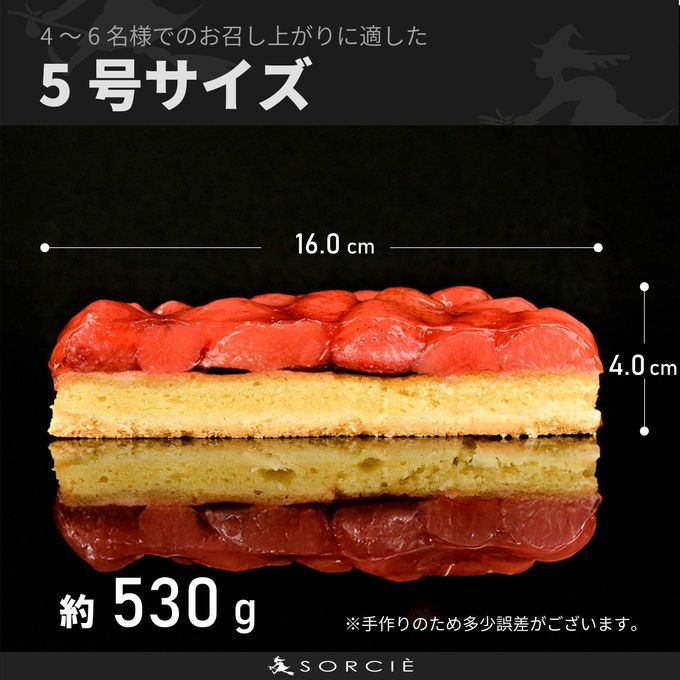 サイズ 5