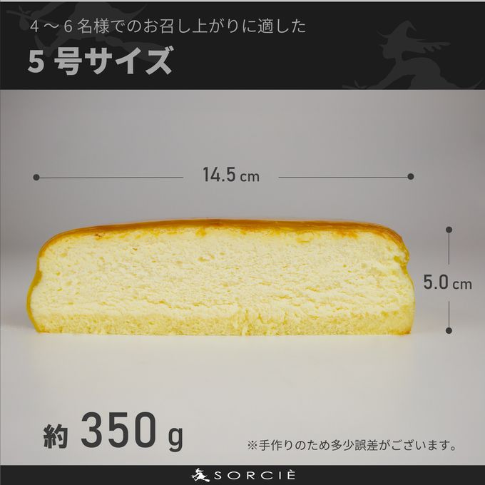 満月のスフレチーズケーキサイズ 5