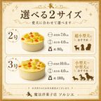選べる2サイズ 4