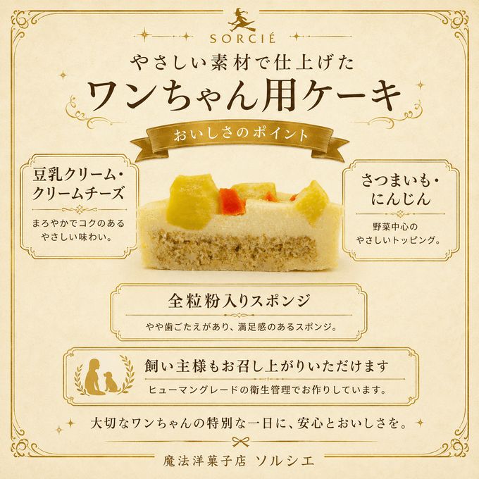 断面解説 3